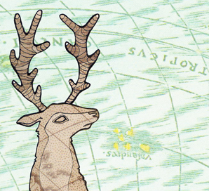 Stag and Star Greetings Card